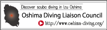 Link Banner