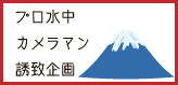 プロ水中カメラマン誘致企画