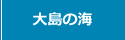 大島の海