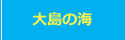 大島の海