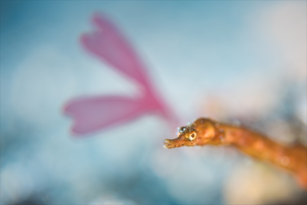 グランプリ