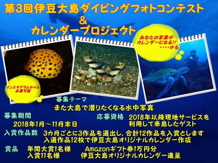 第3回伊豆大島ダイビングフォトコンテスト2018