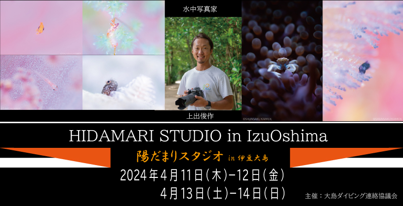 陽だまりスタジオin伊豆大島2024