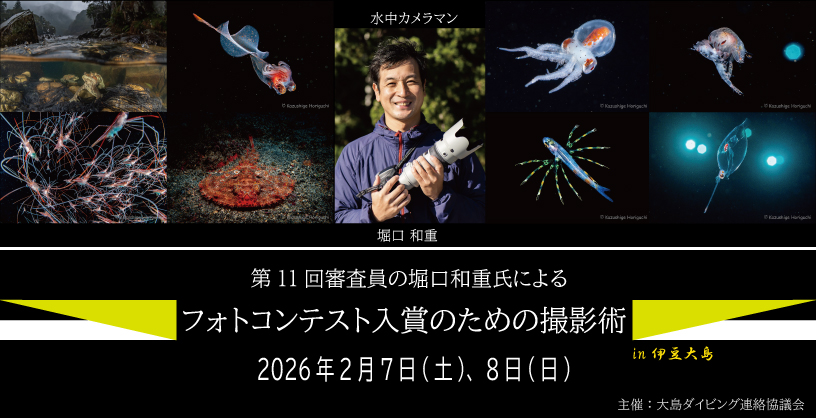 ホーリーミッドナイト2025