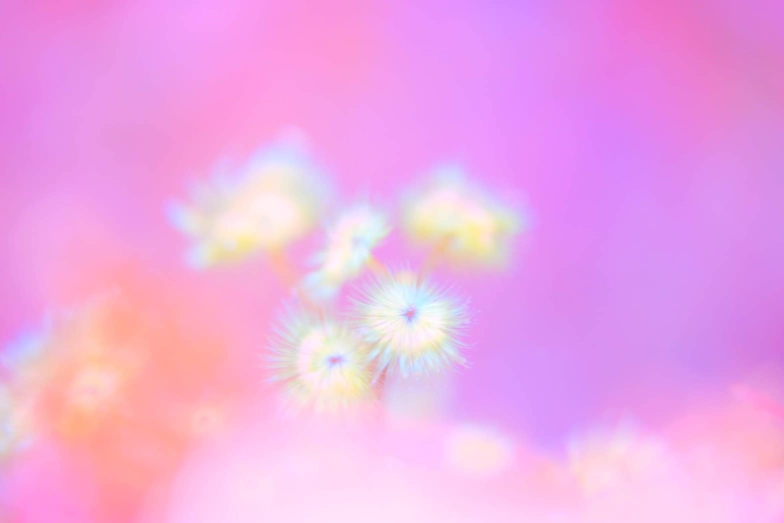 ゆるカタ2022